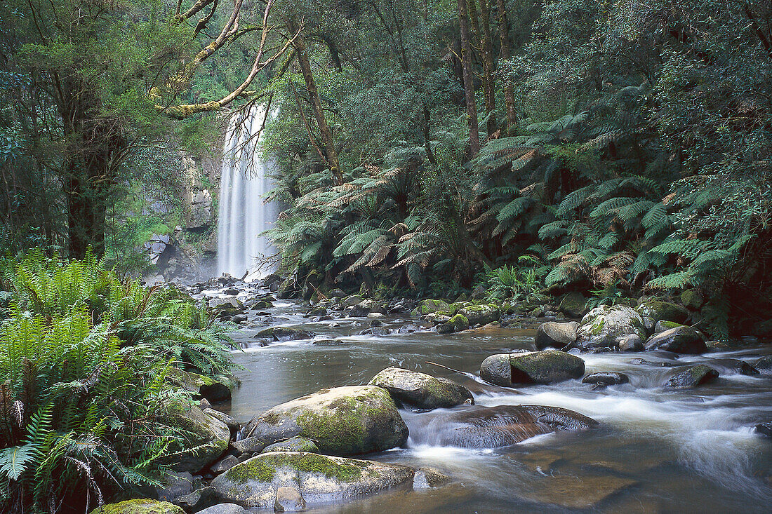 Hopetoun Falls, near Beech Forest Victoria, Australia