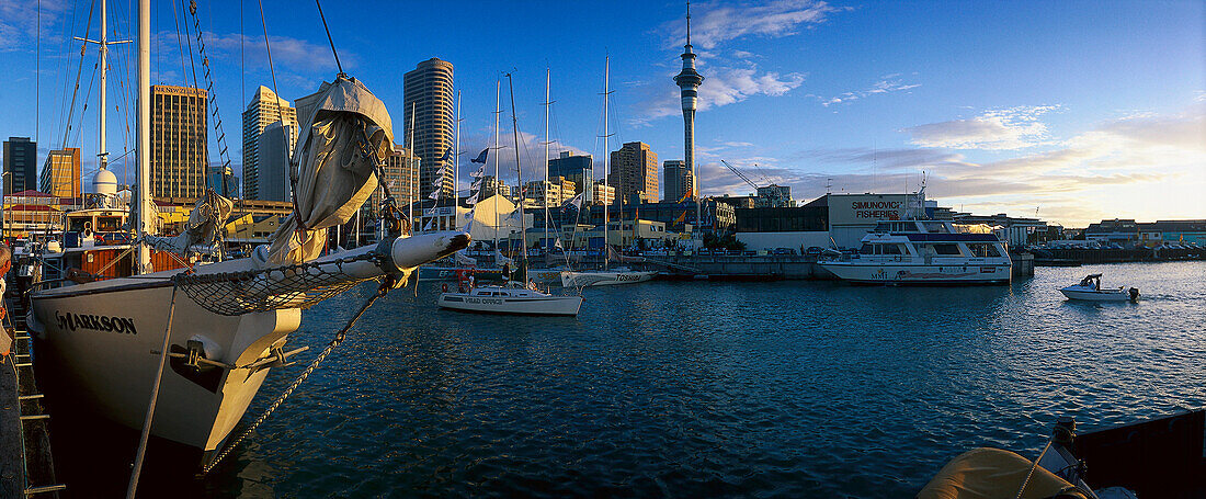 Viaduct Basin Hafen und Skyline, Auckland, Nordinsel, Neuseeland