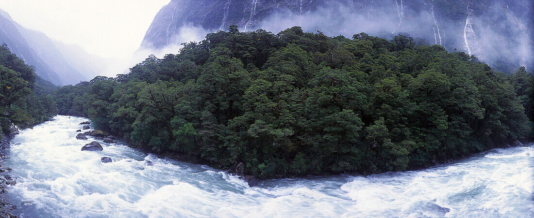 Hollyford River, Fiordland National Park, South Island, New Zealand