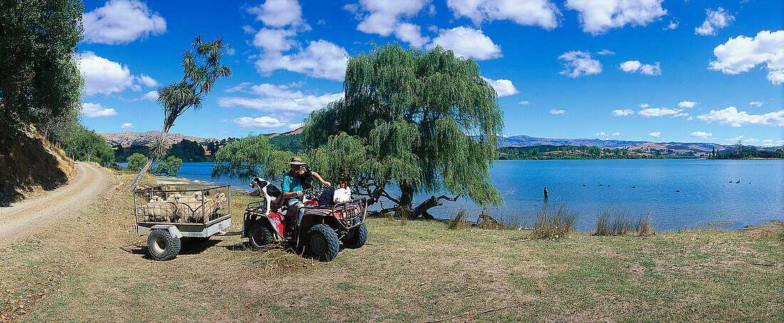 Schaffarmer Blue McMillan mit seinen Hunden am Lake Tutira, nahe Napier, Hawke's Bay, Nordinsel, Neuseeland