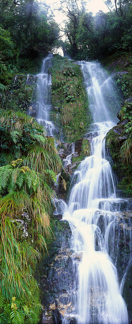 Waterfall at Haast Pass, Mt. Aspiring National Park, near Haast, West Coast, South Island, New Zealand