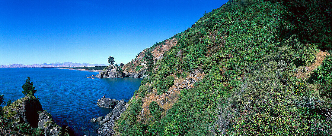 Küstenlandschaft der Pigeon Bay nahe Cloudy Bay, nahe Blenheim, Marlborough, Südinsel, Neuseeland