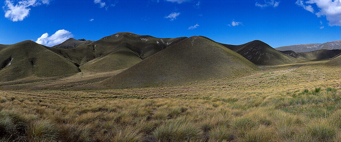 Tussock Grass & Rolling Hills, Lindis Pass, South Island, New Zealand