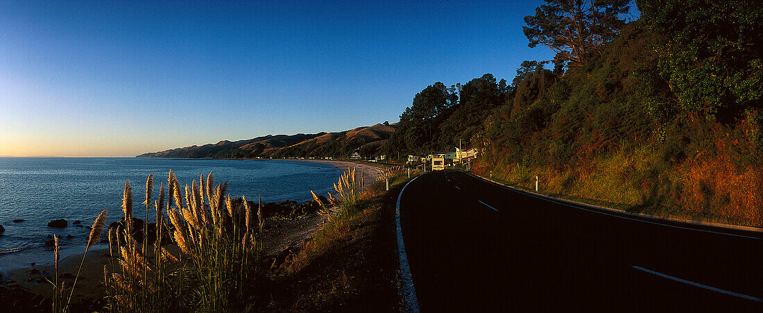 Küstenstraße nahe Waikawau, Coromandel Peninsula, Nordinsel, Neuseeland