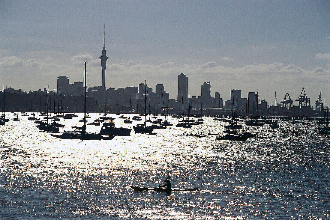 Yachts & Skyline, Okahu Bay Auckland, New Zealand