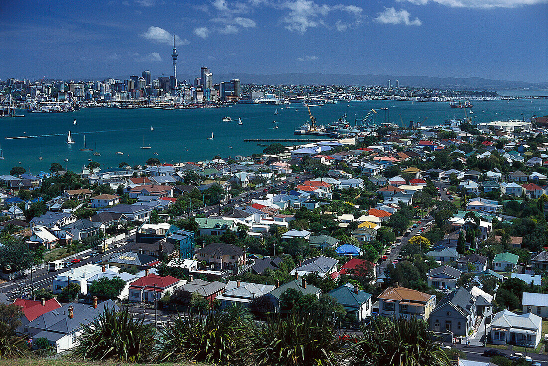 Houses & Skyline, View from Mt. Victoria Devonport, Auckland, New Zealand