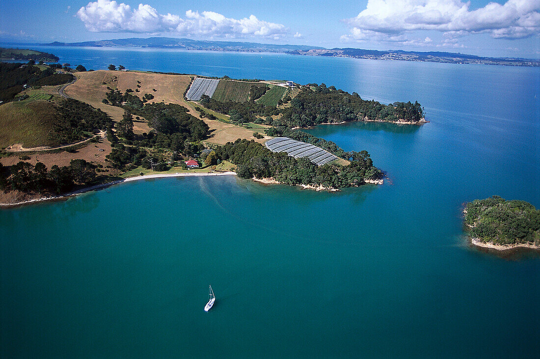 Aerial Photo, Waiheke Island, Hauraki Gulf Near Auckland, New Zealand