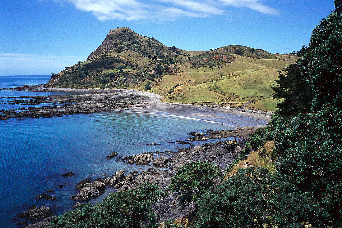 Coastline near Fletcher Bay, Coromandel Peninsula, North Island New Zealand