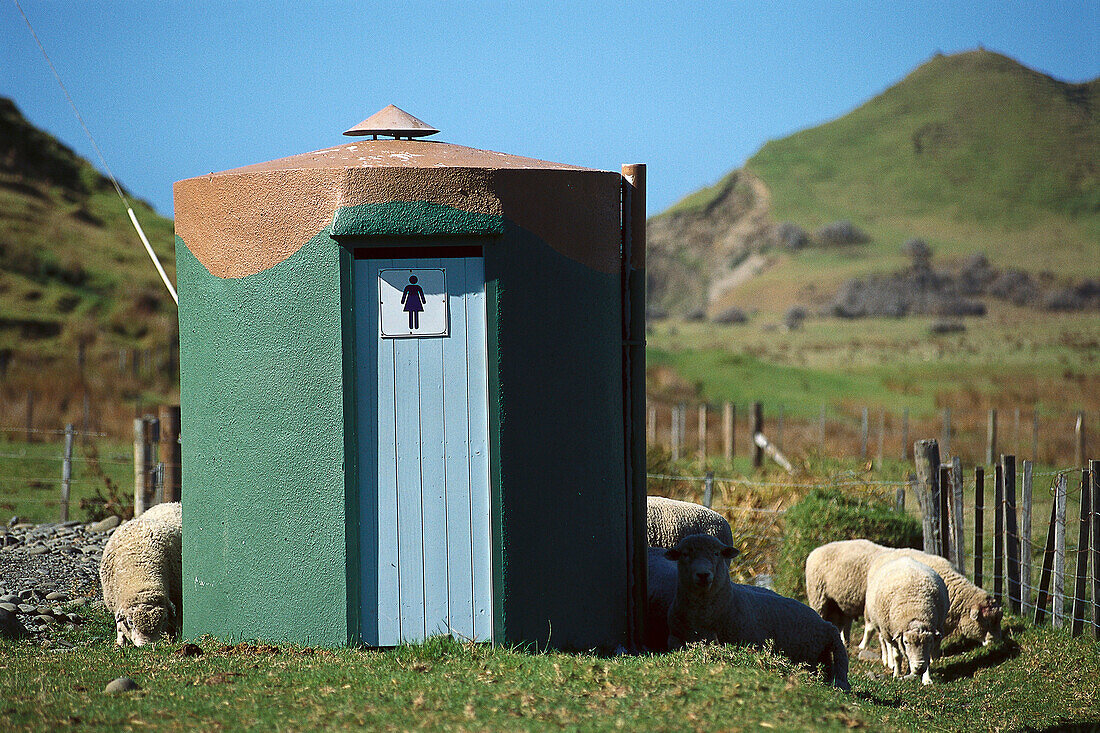 Outdoor Toilet ', East Cape North Island New Zealand