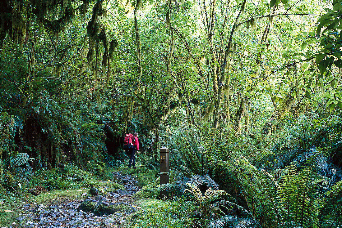 Tramper, Fiordland NP, South Island New Zealand