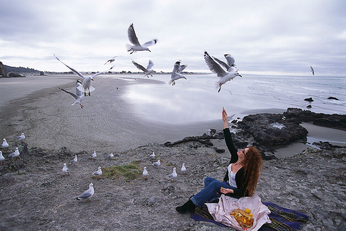 Fish & Chips on the Beach, Segulls, near Christchurch , South Island New Zealand