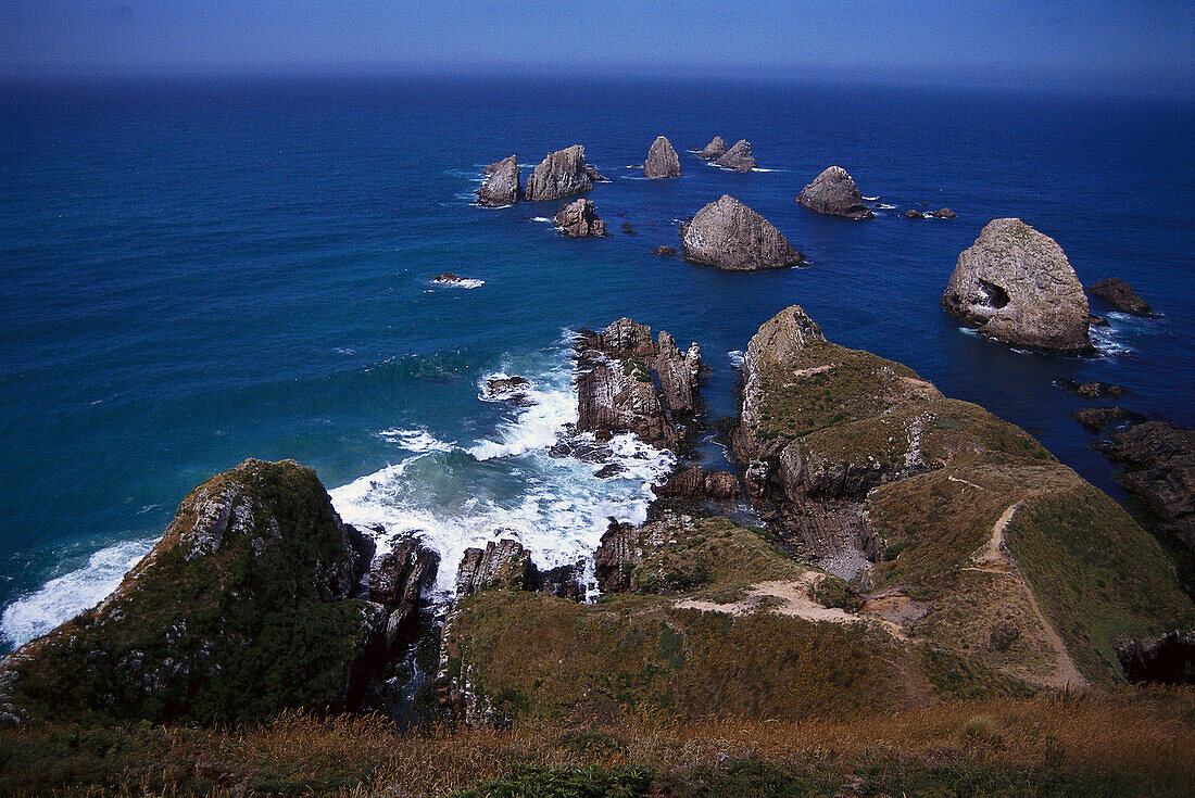 Nugget Point, Southland, South Island New Zealand