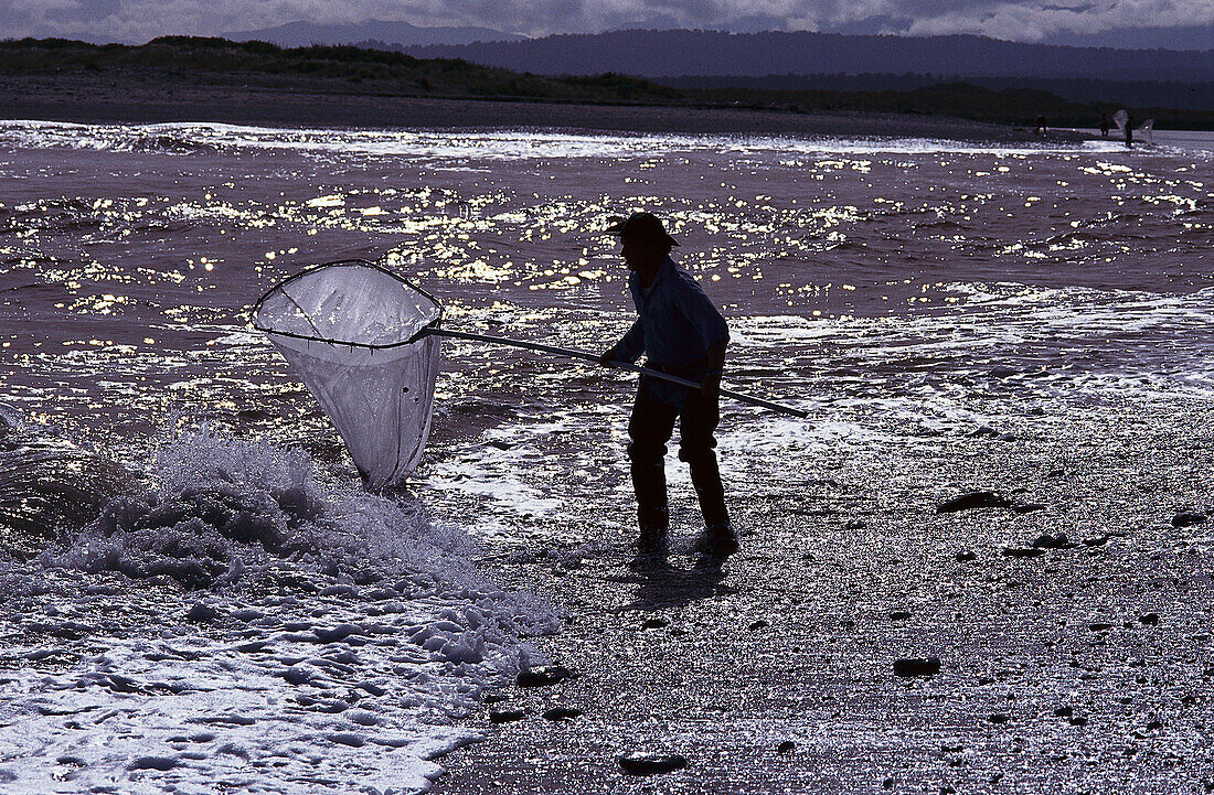 Whitebaiting, Okarito Lagoon, Westland NP, South Island New Zealand