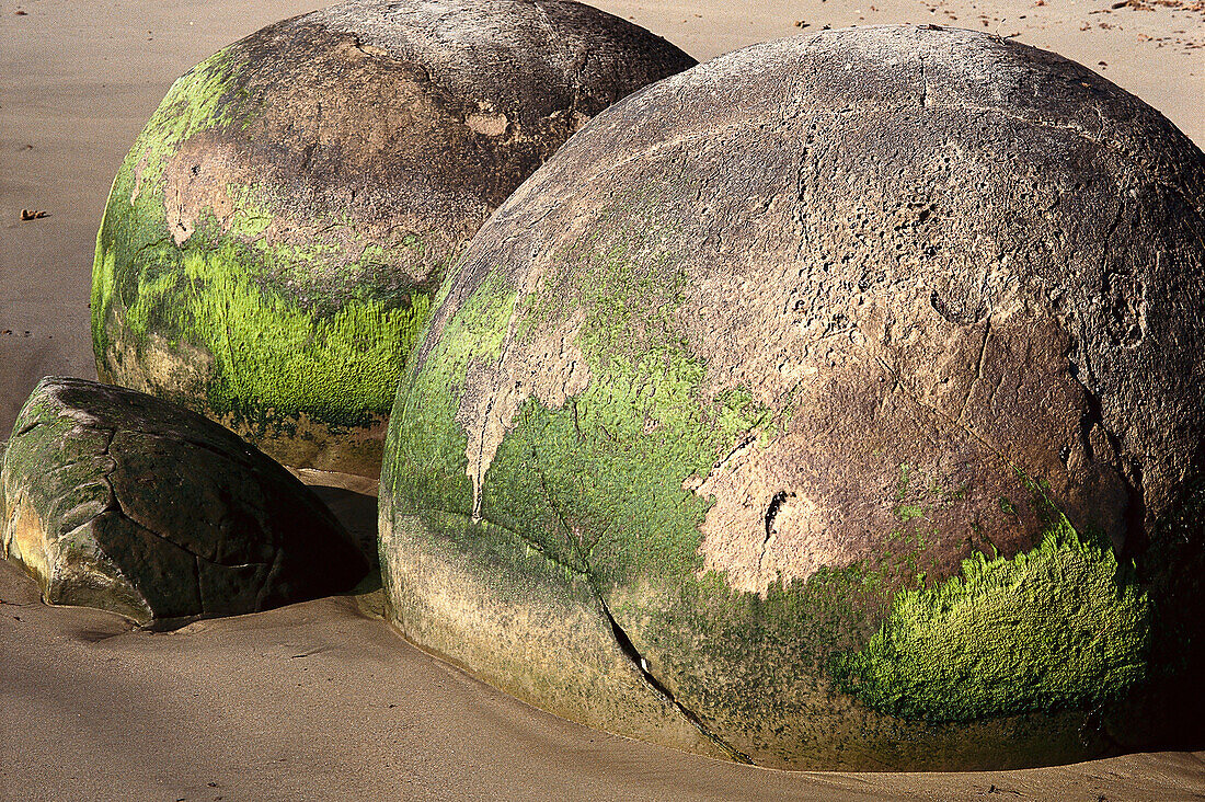 Moeraki Boulders, Moeraki, South Island New Zealand