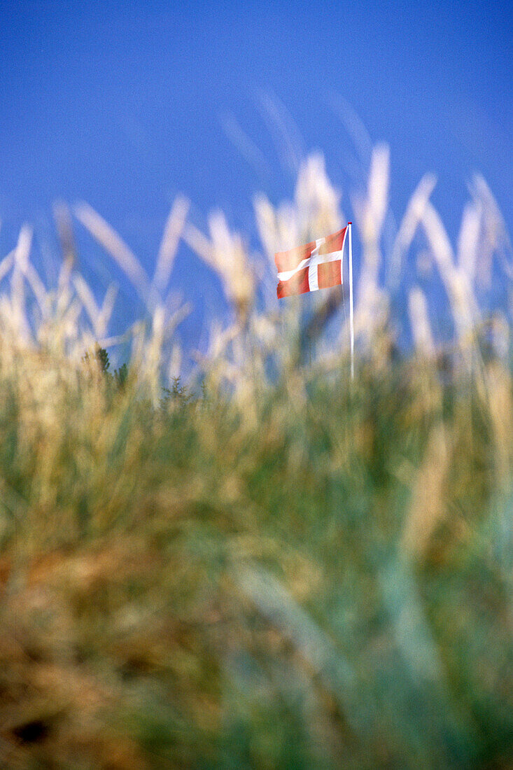 Dannebrog Flag behind sand dunes, Blovand, Southern Jutland, Denmark