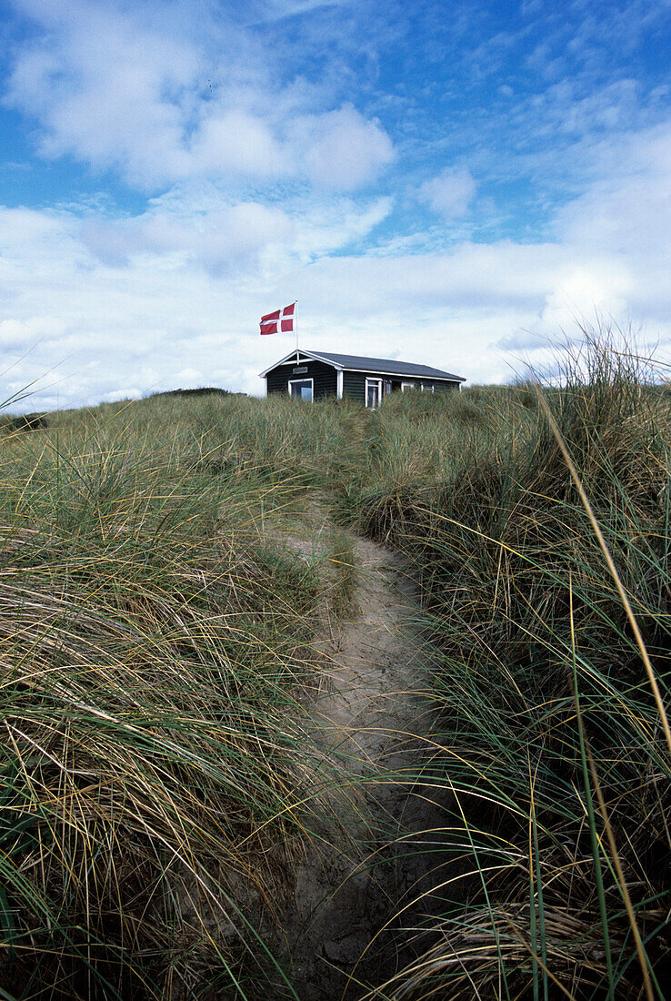 Vacation Cottage in Dunes, Tornby Strand, Northern Jutland, Denmark