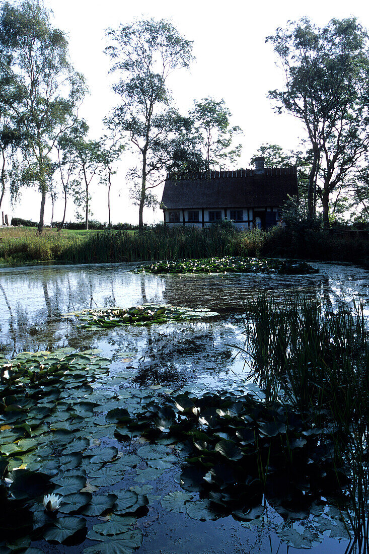 Pond & Farmhouse, Stevns Klint, Hojerup, Southern Zealand, Denmark