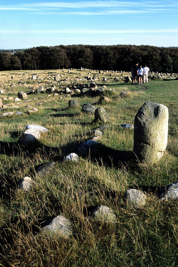 Wikinger Friedhof, Lindholm Hoje, in der Nähe von Aalborg, Nordjütland, Dänemark