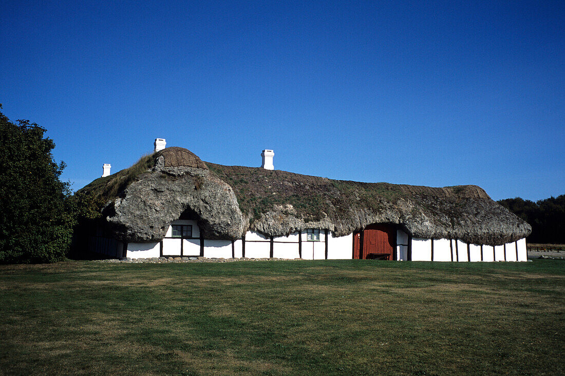Haus mit traditionellen Seegrasdach, Museum in der Nähe von Byrum, Læsø, Dänemark