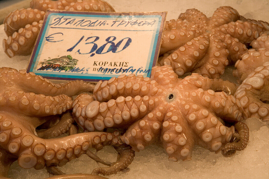 Oktopus, Fischmarkt, Plaka, älteste Quartier Athens, Zentralmarkt, Athen, Griechenland