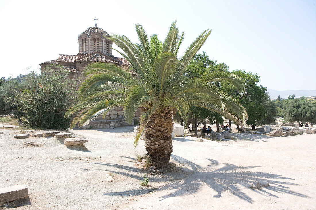 Date Palm in front of a church, Church of the Holy Apostle Ancient Agora, Athens, Greece