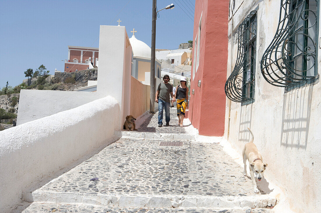 Dogs and couple in Fira, Santorini, Cyclades, Greece