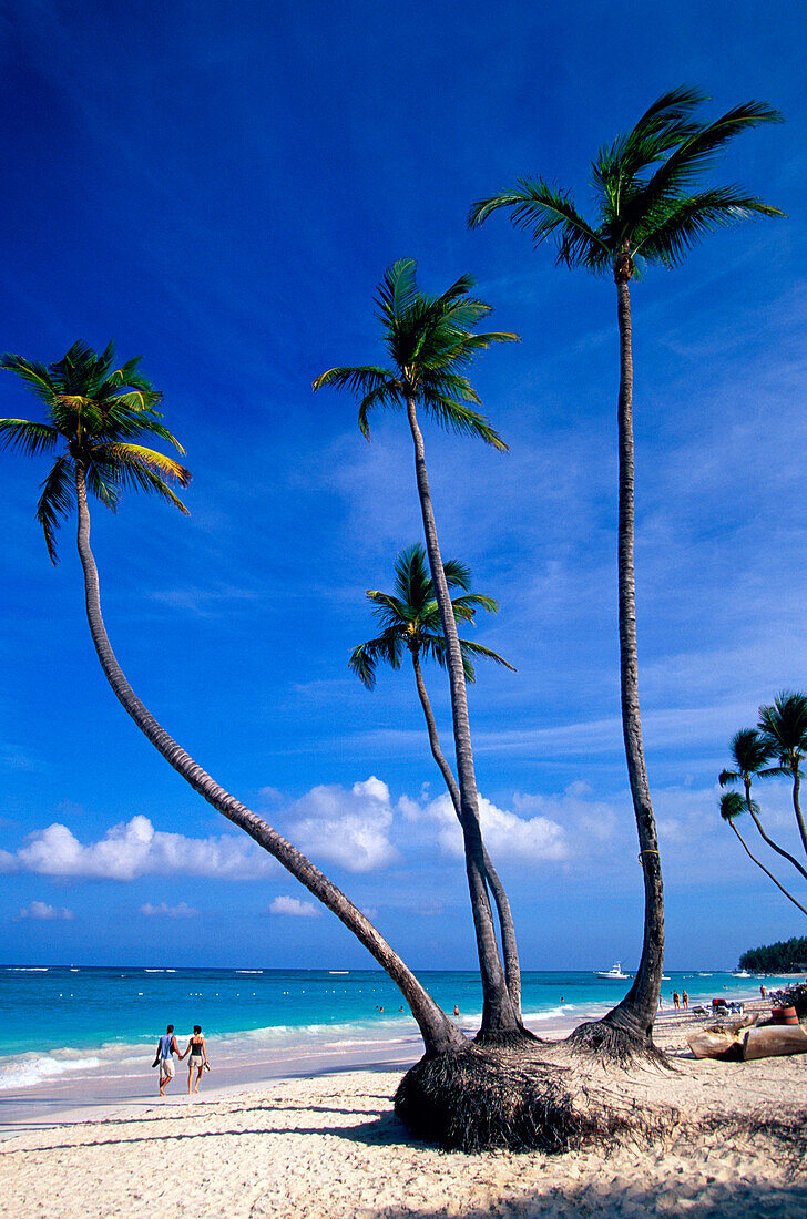 Couple walking along the beach, Palm beach at Bavaro, Punta Cana, Dominican Republic, Antilles, Caribbean Sea