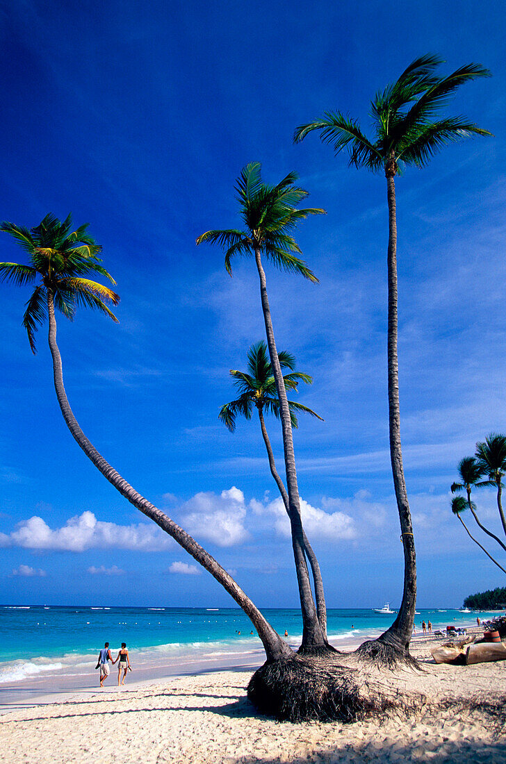 Paar laufen am Strand entlang, Palmenstrand, Strand in der Nähe von Bavaro, Punta Cana, Dominican Republic, Antillen, Karibik