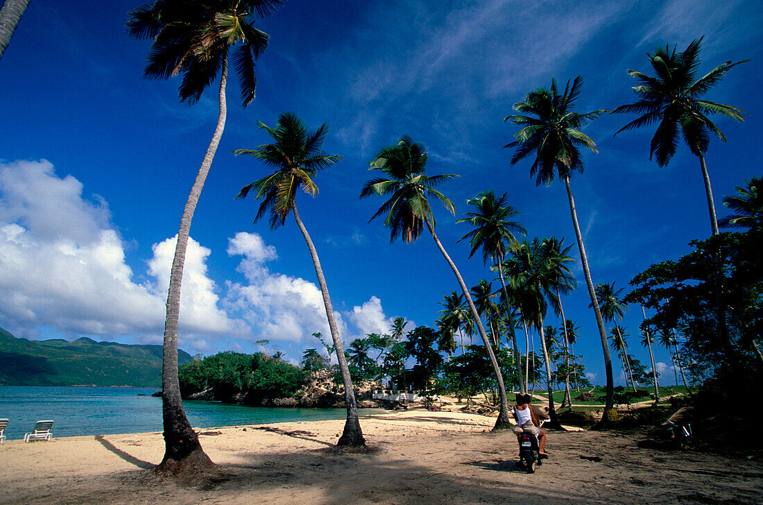 Beach, Playa Rincon, Scooter, Beach Bar Playa Rincon, Las Galeras, Samana Peninsula, Dominican Republic