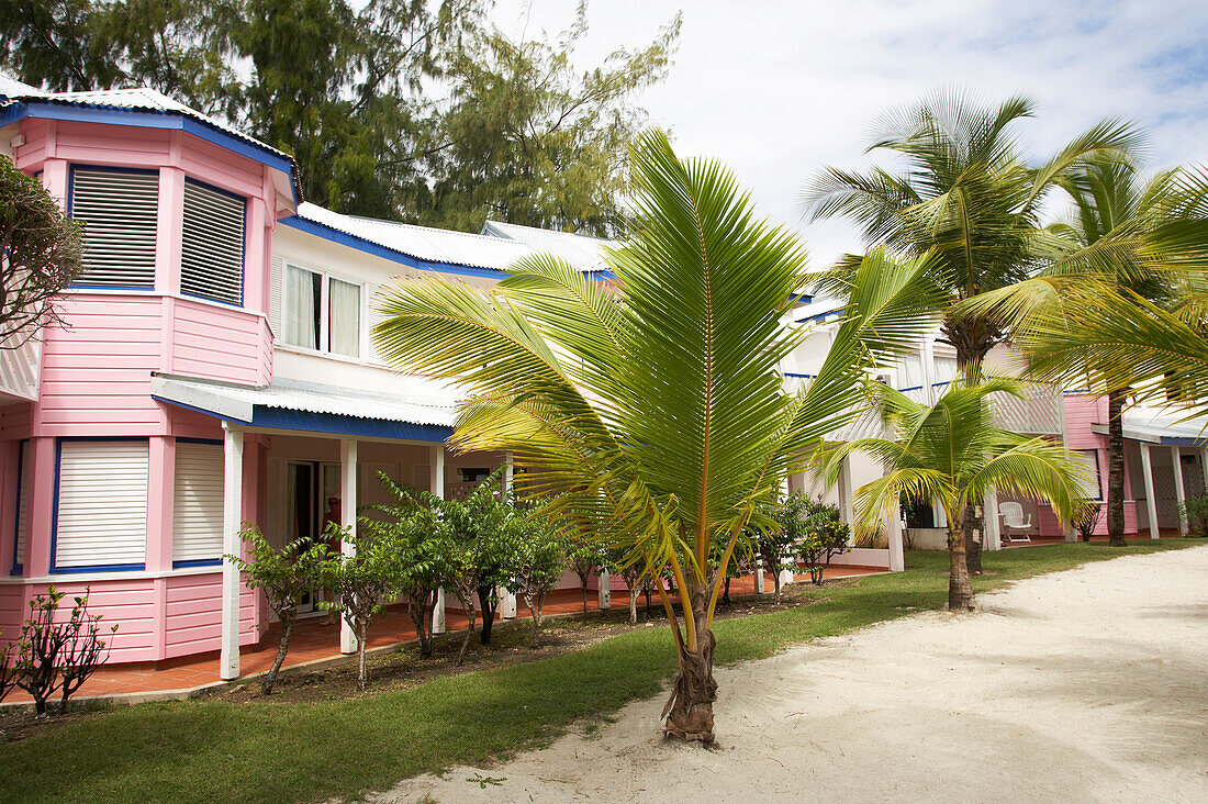 Palm Trees at the entrance of the hotel, Row of Houses, Hotel La Cocoteraie, Le Meridien, Saint-Francois, Guadeloupe, Caribbean