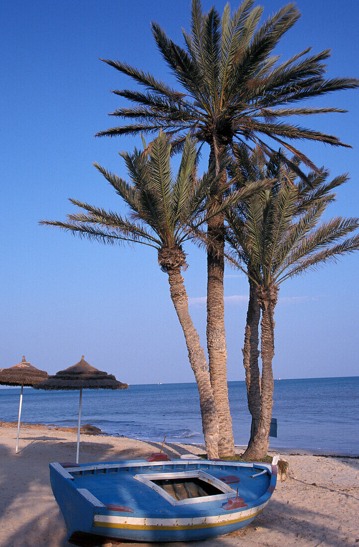 Palmstrand mit Boot, Plage Seguia, Insel Djerba, Tunesien, Nordafrika, Afrika