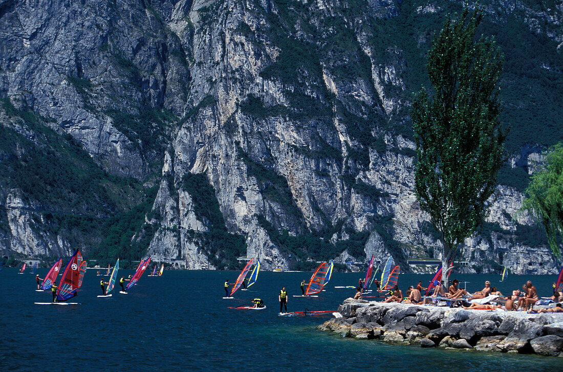 Strand, Torbole, Gardasee, Trentino, Italien