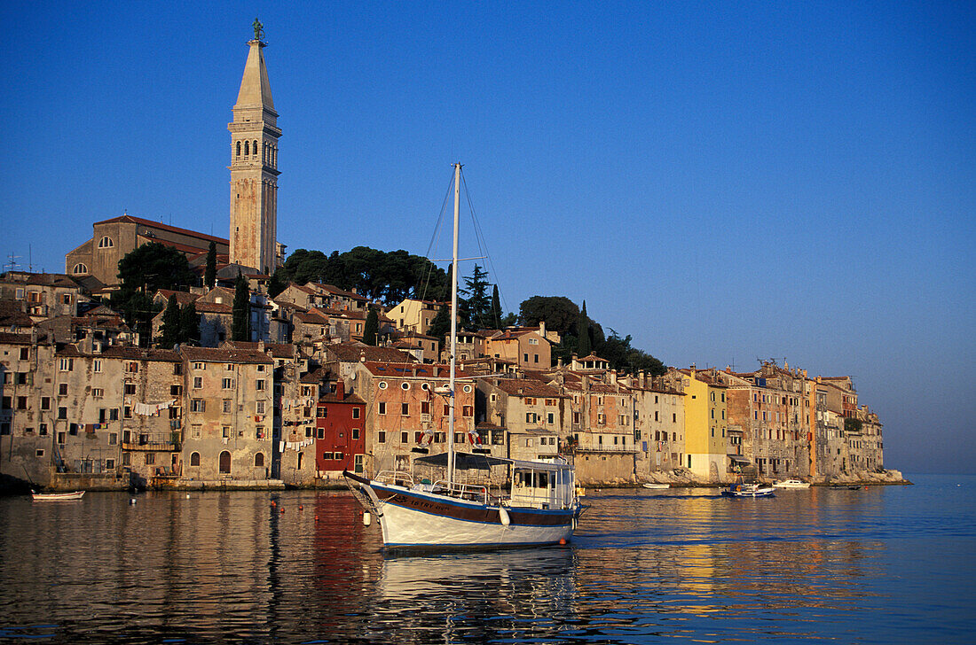 View of the fishing boat and Rovinj from sea, Rovinj, Istria, Croatia