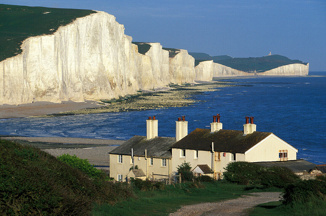 Seven Sisters, Kalkklippen an der Küste, Eastbourne, Sussex, England, Grossbritannien, Europa