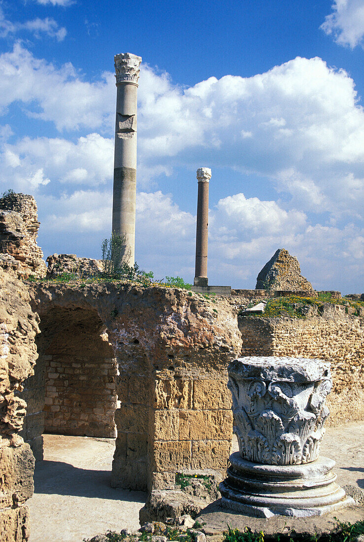 Antonius Pius Thermen, Ruinen von Karthago, Römische Villa, Karthago, Tunesien, Nordafrika, Afrika