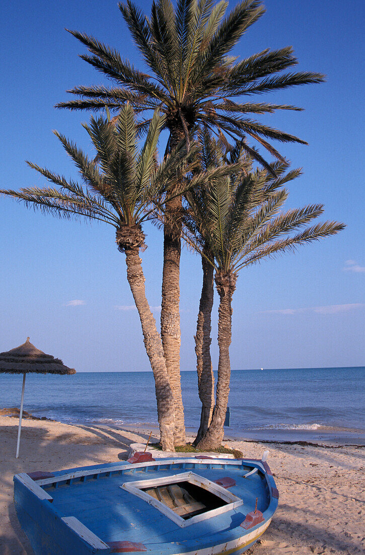 Palmenstrand mit Boot, Plage Seguia, Insel Djerba, Tunesien, Nordafrika, Afrika