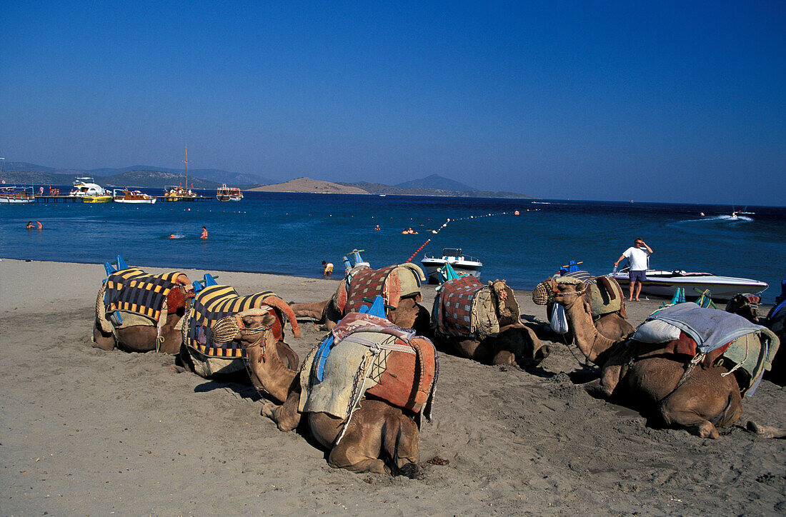 Camel Beach, Bodrum Tuerkei