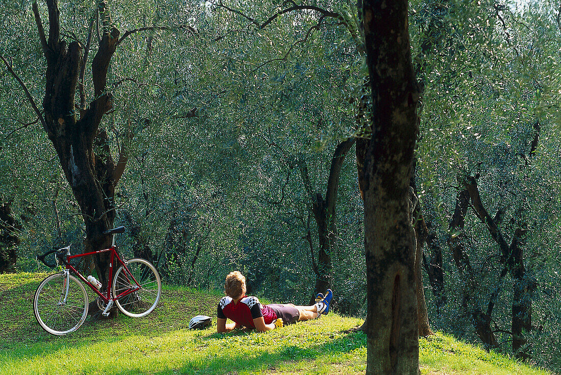 Biker in a Olive grove, near Varone, Lago di Garda Trentino, Italy