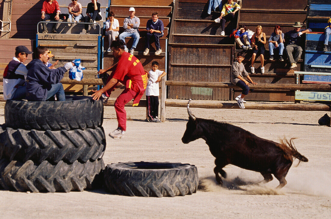 Mann springt über einen Reifen, Fest der Stiere der Camargue, Stiereintreiben, Aigues-Mortes, Gard, Provence, Frankreich, Europa