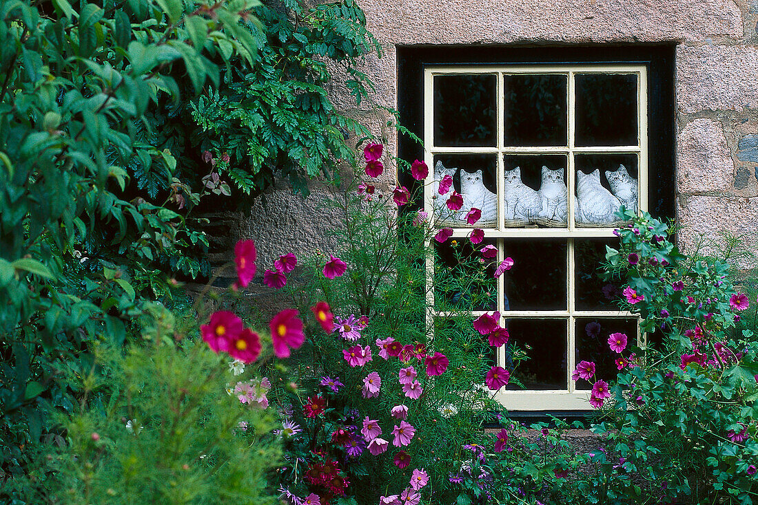 Window of Hotel Dixcart, Oldest Hotel on Sark, Sark, Channel Islands, Great Britain