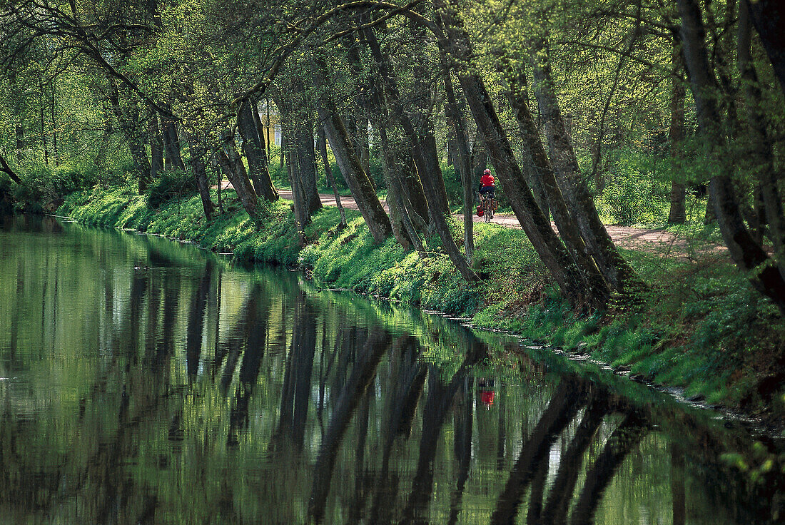 Radfahrer fährt an der Donau entlang, Donaueschingen, Baden-Württemberg, Deutschland