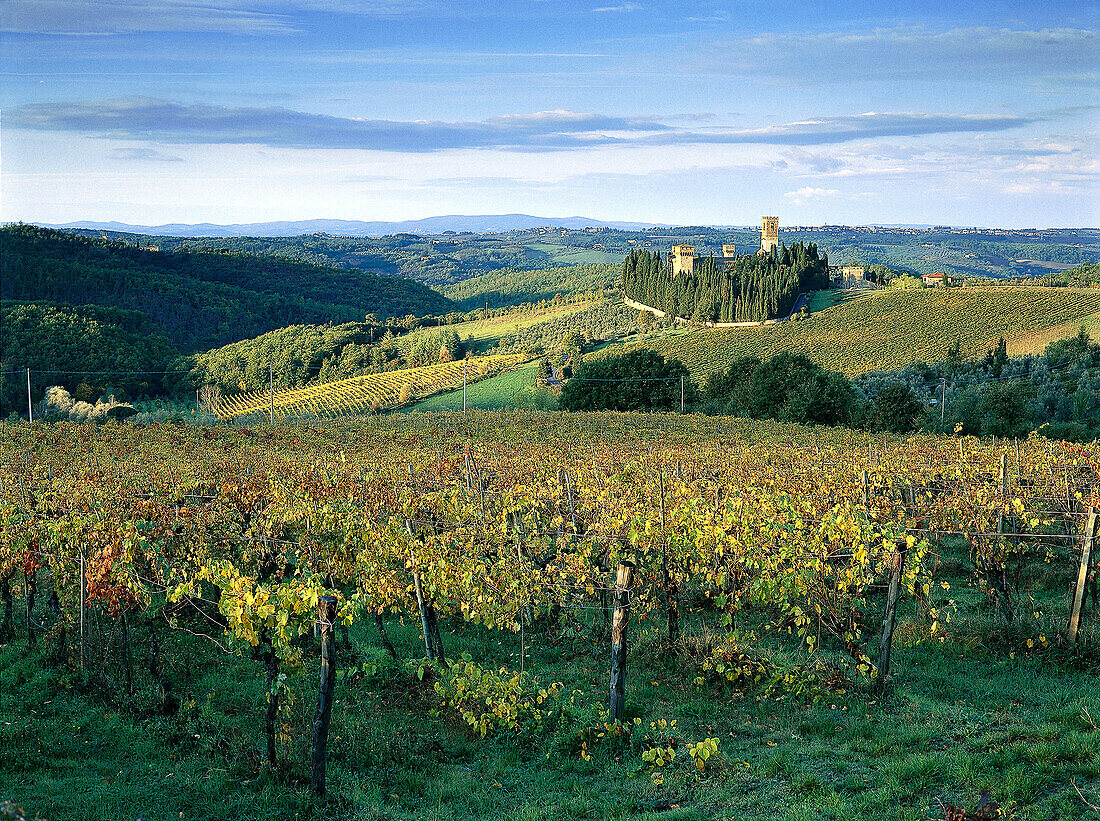 Badia a Passignano, Monastery, Winery Antinori, Chianti, Tuscany, Italy