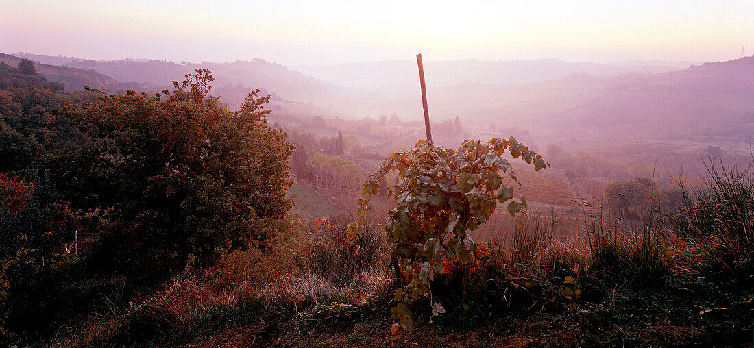 Landscape of Montepulciano, Montepulciano, Tuscany, Italy