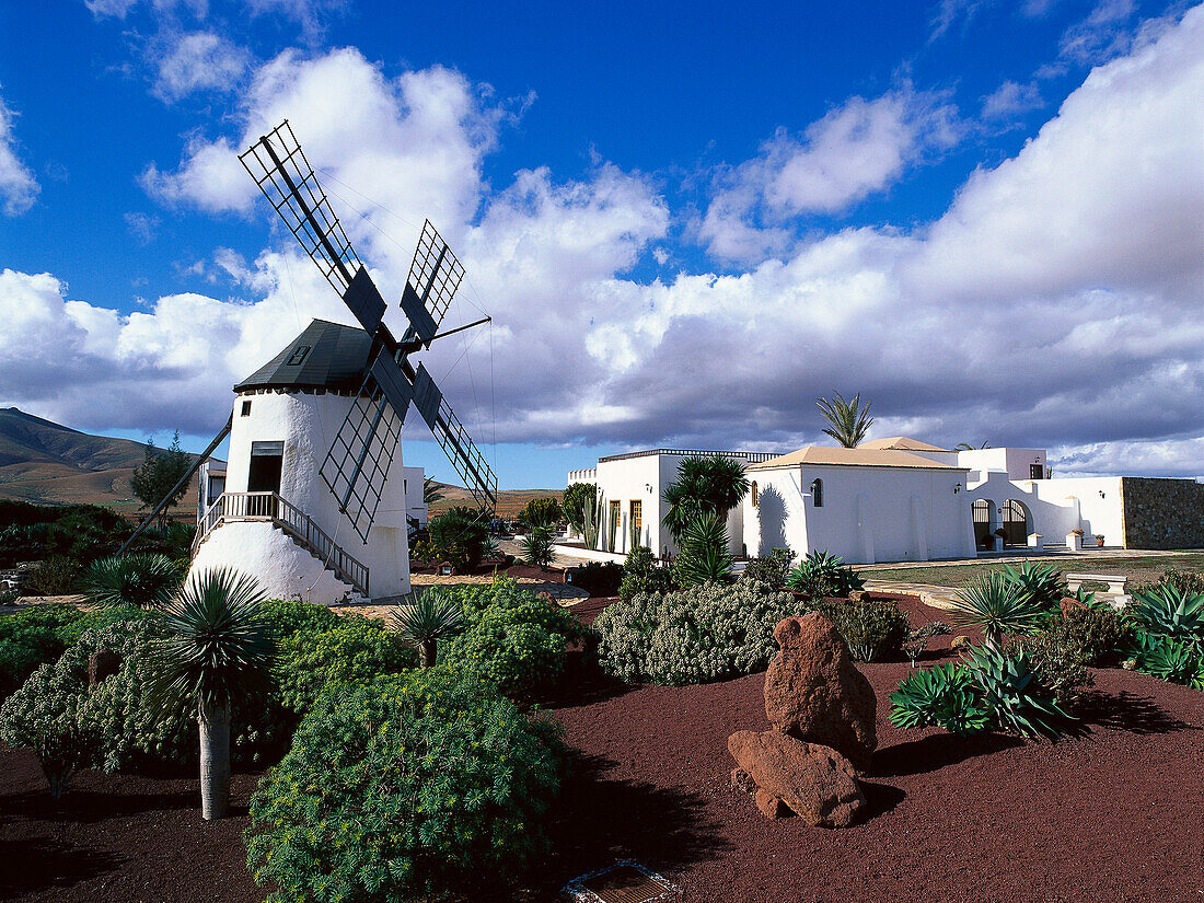 Windmühle, Centro de Artesania, Antigua, Fuerteventura, Kanarische Inseln, Spanien