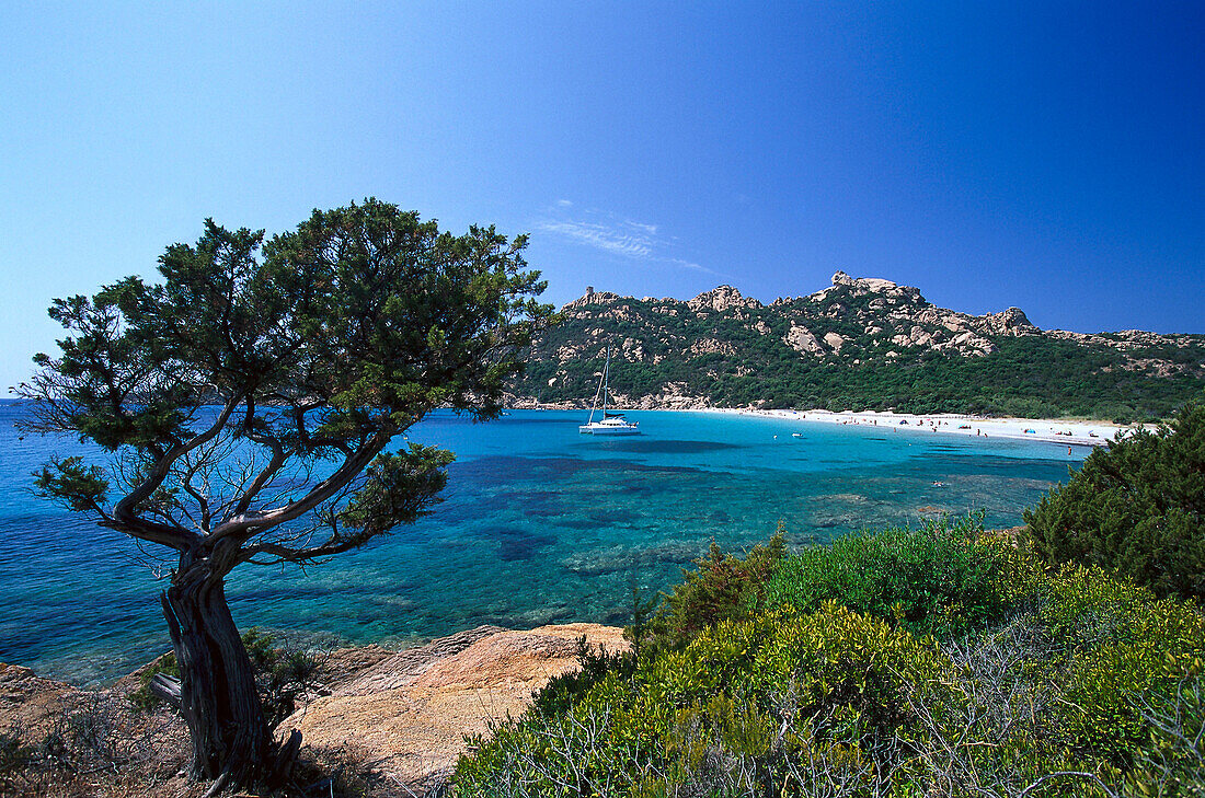 Coast landscape,  Plage de Roccapina, west coast near Sartene, Corsica, France