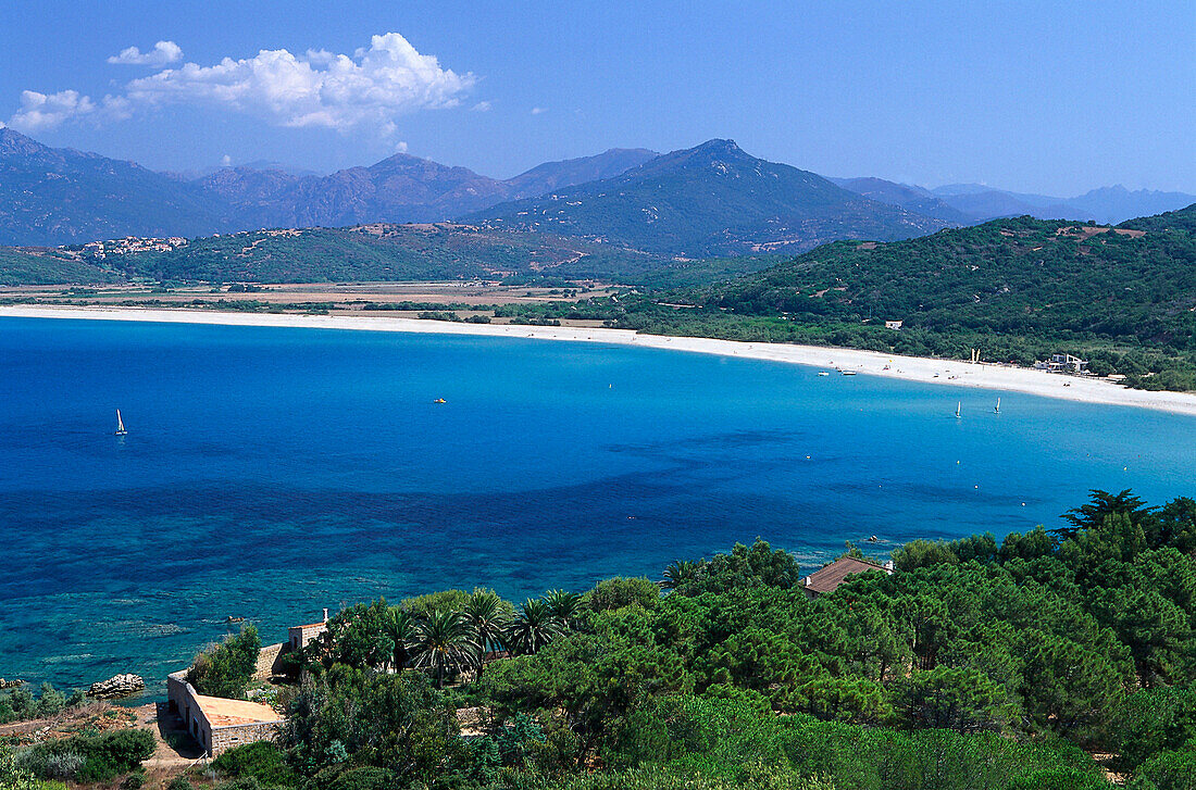 Hütte, Strand Propriano, Westküste bei Propriano, Korsika, Frankreich