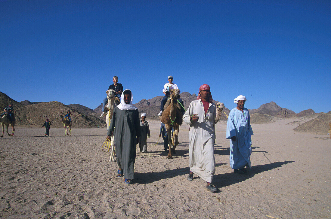 Kamel-Trip, Wüste bei Hurghada Ägypten