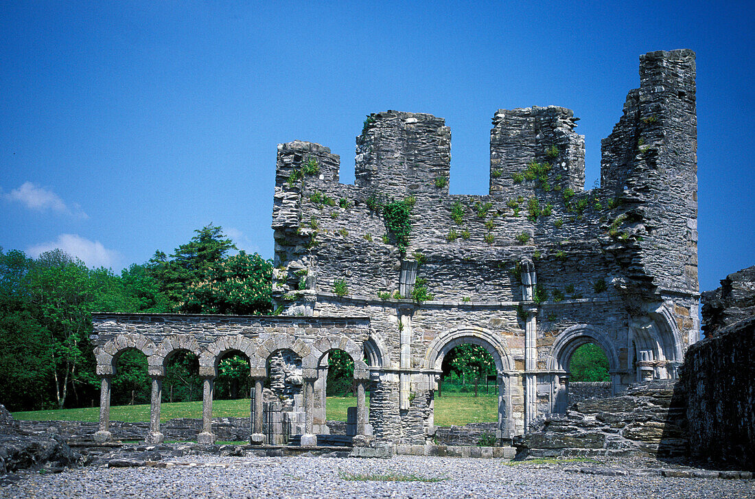 Ruins of Mellifont Abbey, County Louth, Ireland, Europe