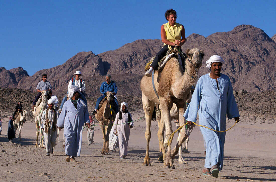 Kamelreiten in der Wüste, Hurghada, Ägypten