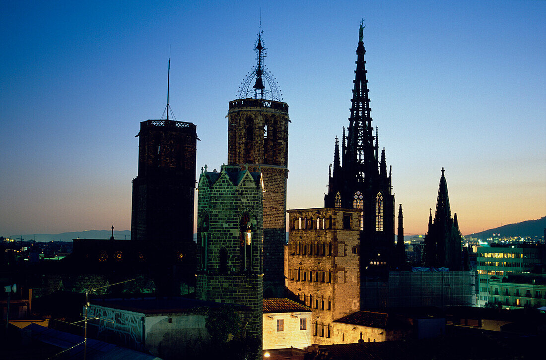 Skyline, Palau Reial, La Seu Cathedral, Barri Gotic, Barcelona, Catalonia, Spain